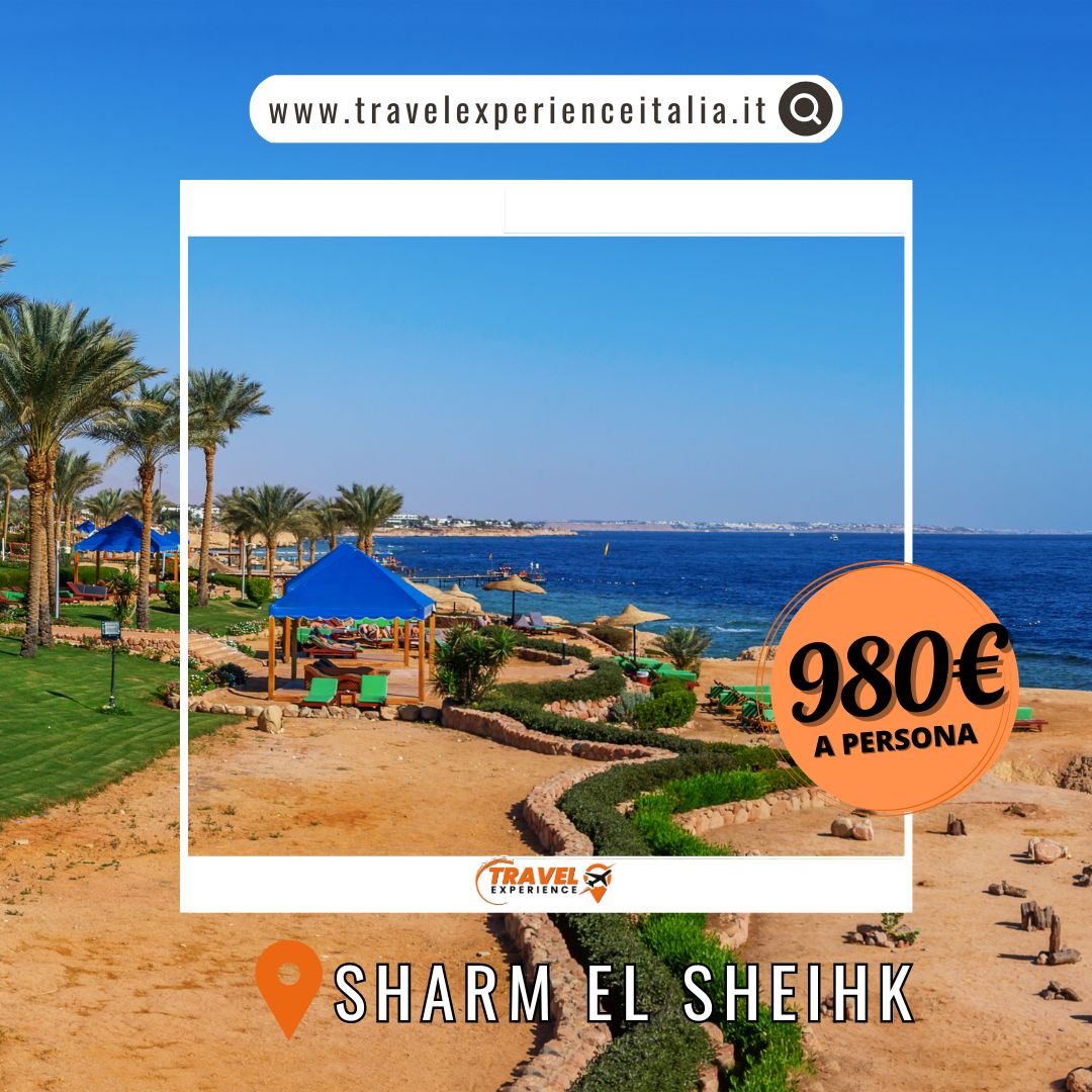 Sharm El Sheikh  4 - 11 agosto