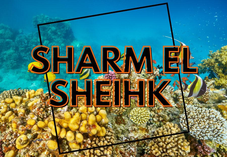 SHARM EL SHEIKH 22 - 29 DICEMBRE